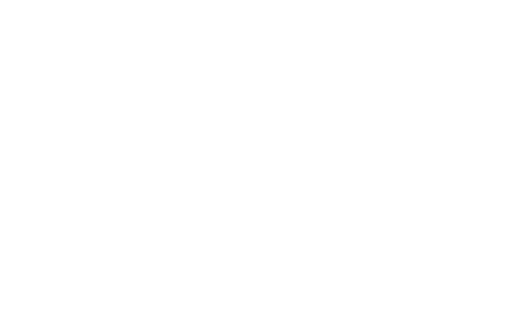 INTELLIFLEET