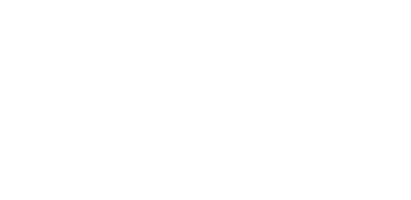 INTELLIFLEET